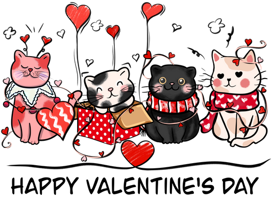Happy Valentine Day Cats (Youth)